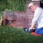 Frank Henenlotter directs the blood.
